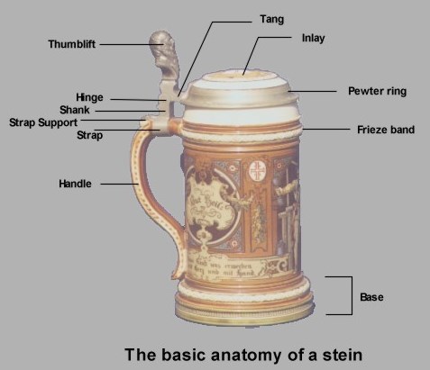 Ranatomy OF A STEIN  BY WALTER